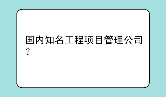 国内知名工程项目管理公司？