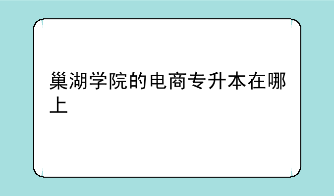 巢湖学院的电商专升本在哪上