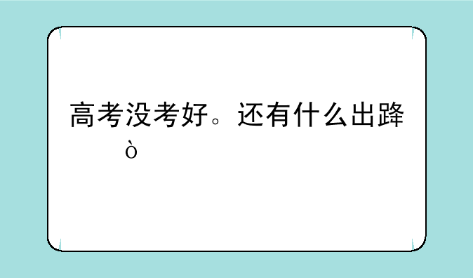高考没考好。还有什么出路？