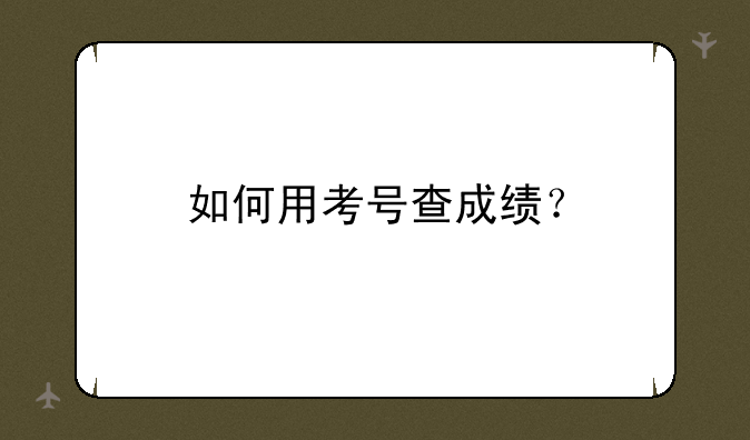 如何用考号查成绩？