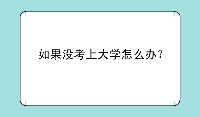 如果没考上大学怎么办？