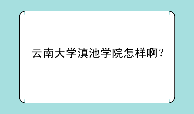 云南大学滇池学院怎样啊？