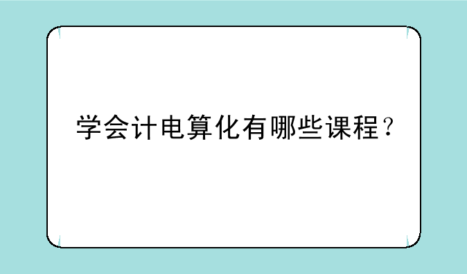 学会计电算化有哪些课程？