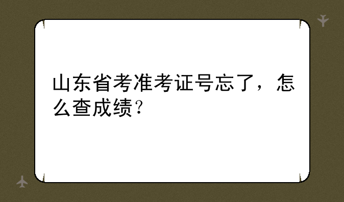 山东省考准考证号忘了，怎么查成绩？