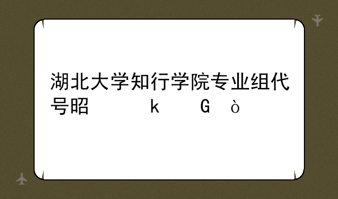 湖北大学知行学院专业组代号是多少？