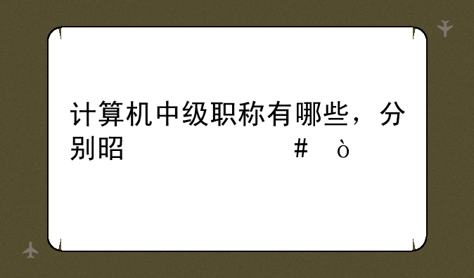 计算机中级职称有哪些，分别是什么？