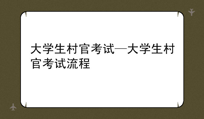 大学生村官考试—大学生村官考试流程